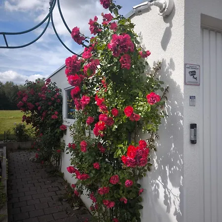 Rosen Garten Apartment Friedenweiler